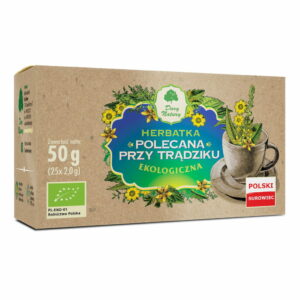 Herbatka polecana przy trądziku BIO 50 g (25 x 2 g) DARY NATURY